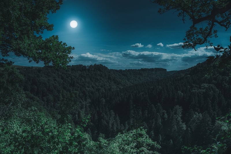 Moon Colonization